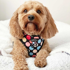 Adjustable Harness – Be Happy - Charity Collection