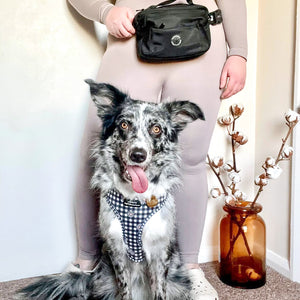 All In One Bumbag - Black