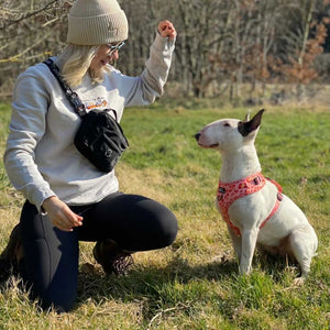 All In One Bumbag - Black