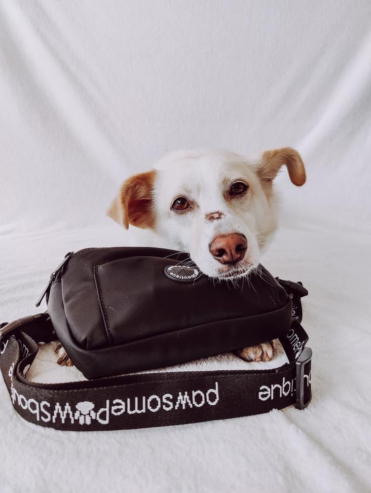 All In One Bumbag - Black