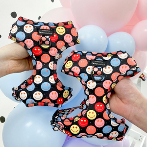Adjustable Harness – Be Happy - Charity Collection