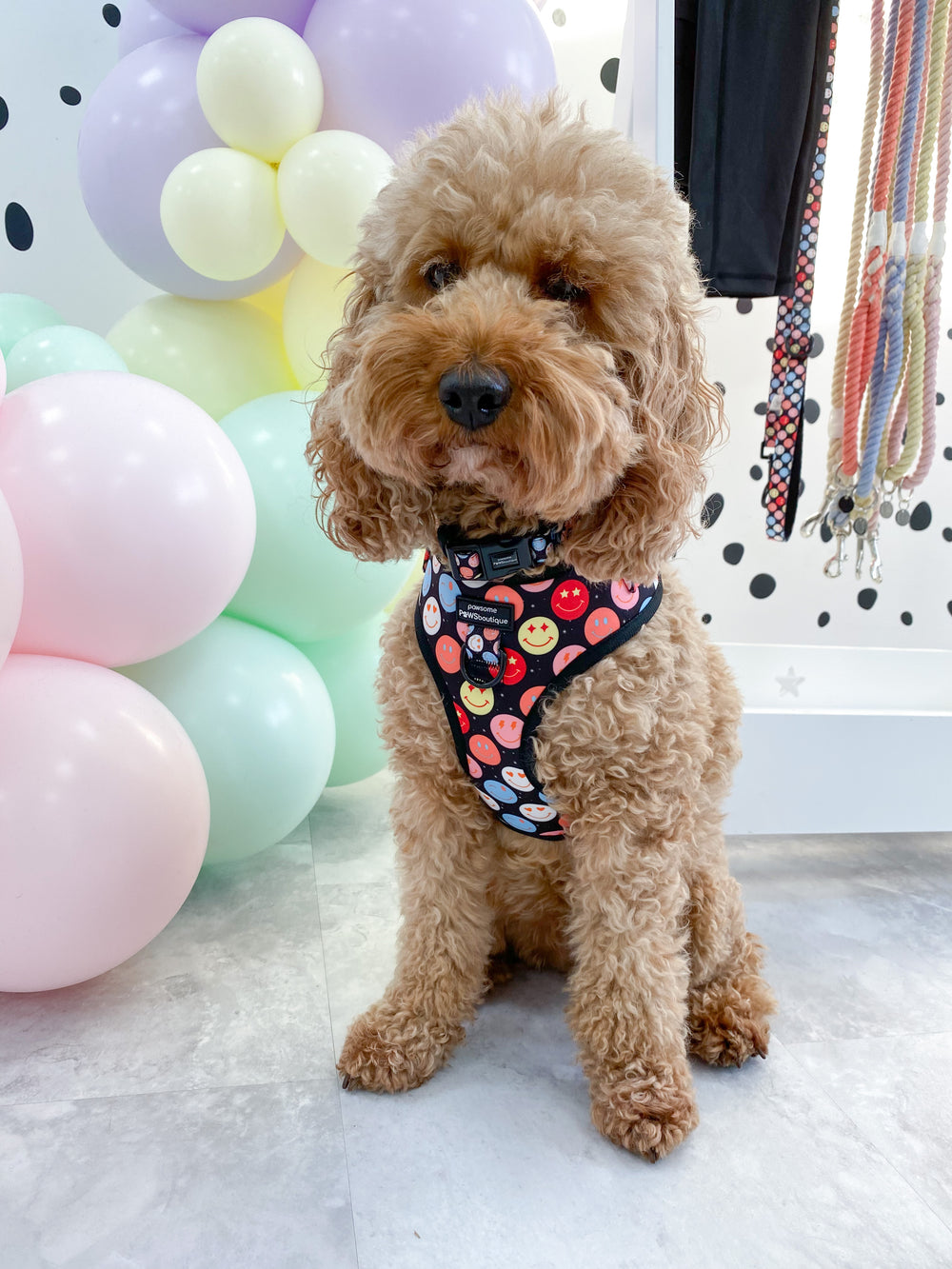 Adjustable Harness – Be Happy - Charity Collection