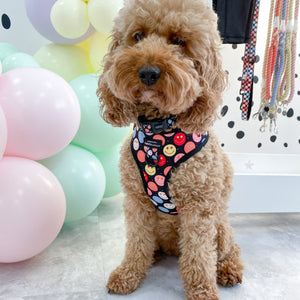 Adjustable Harness – Be Happy - Charity Collection
