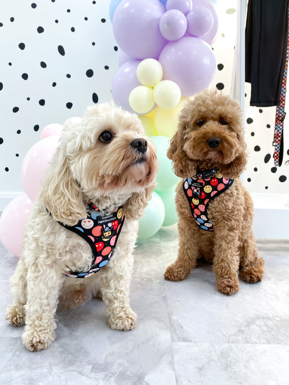 Adjustable Harness – Be Happy - Charity Collection