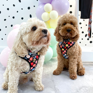 Adjustable Harness – Be Happy - Charity Collection