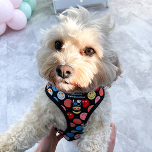 Adjustable Harness – Be Happy - Charity Collection