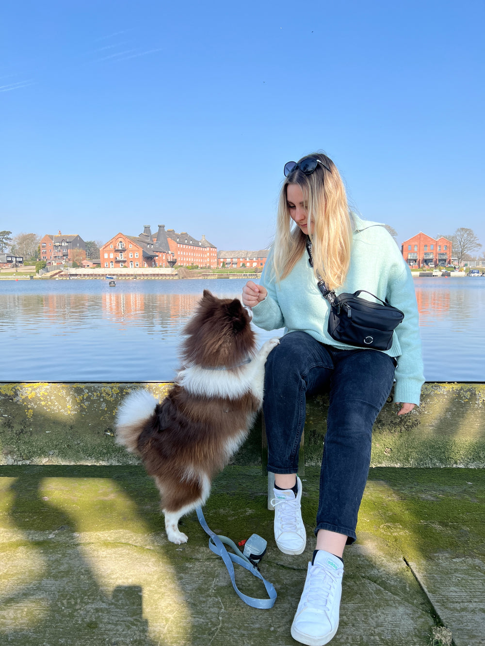 All In One Bumbag - Black