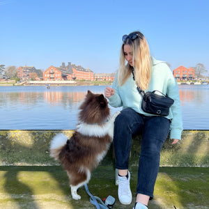 All In One Bumbag - Black