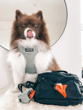 All In One Bumbag - Black
