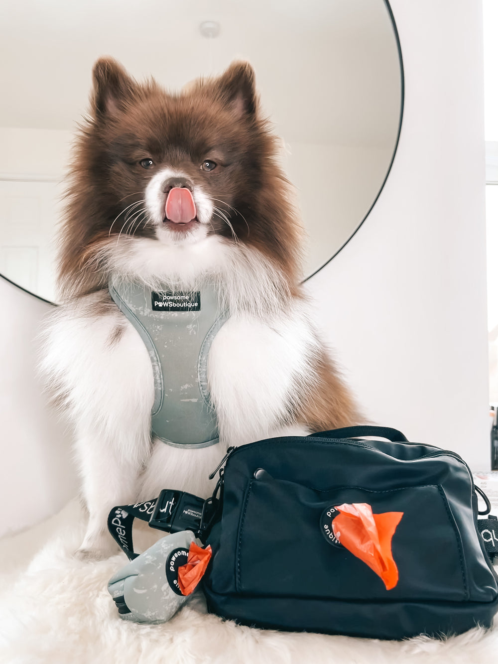 All In One Bumbag - Black