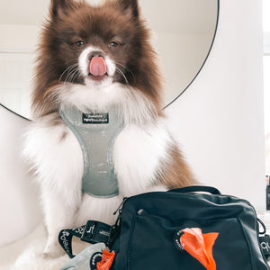 All In One Bumbag - Black