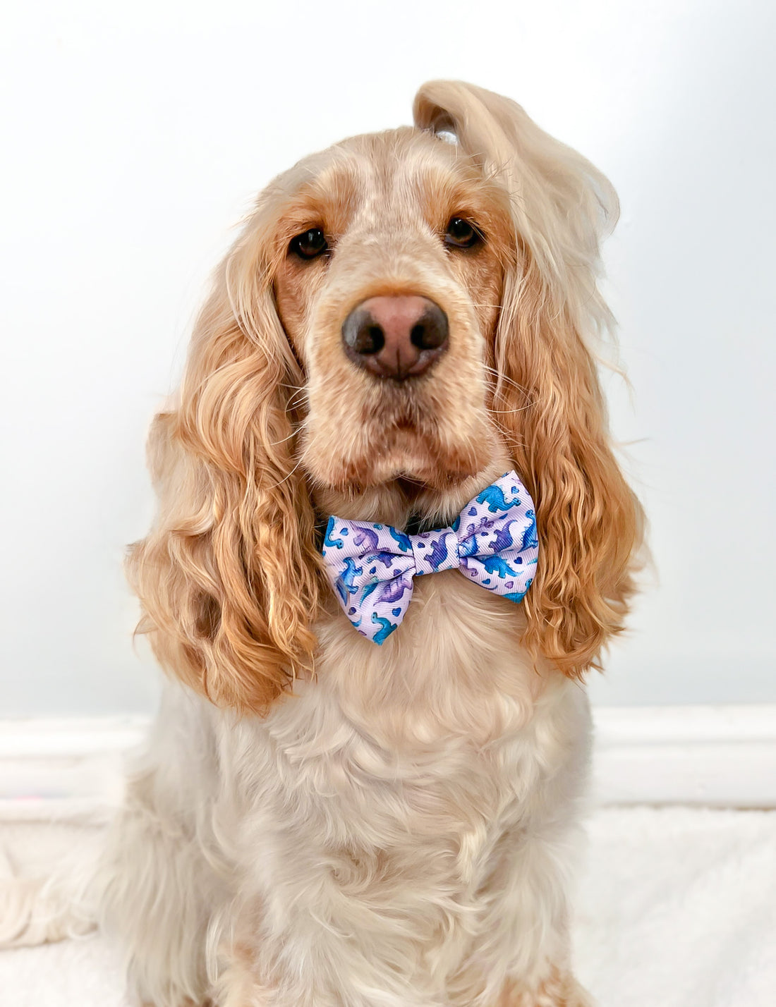 Bow Tie - Tiny Diny