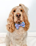 Bow Tie - Tiny Diny