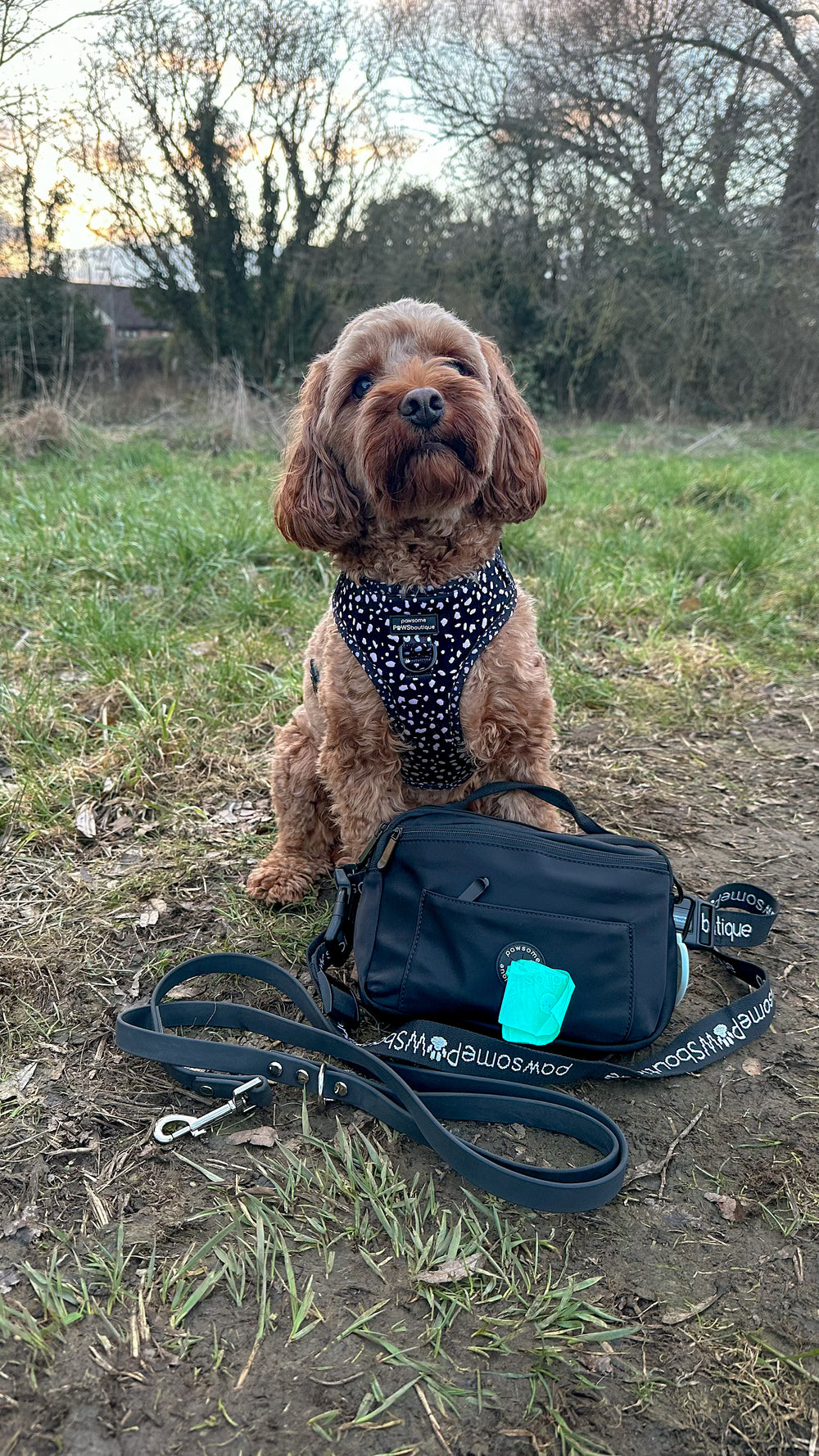 All In One Bumbag - Black