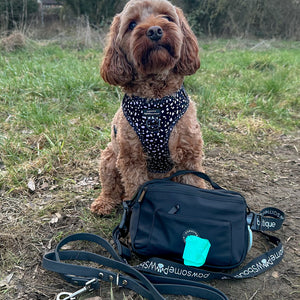 All In One Bumbag - Black