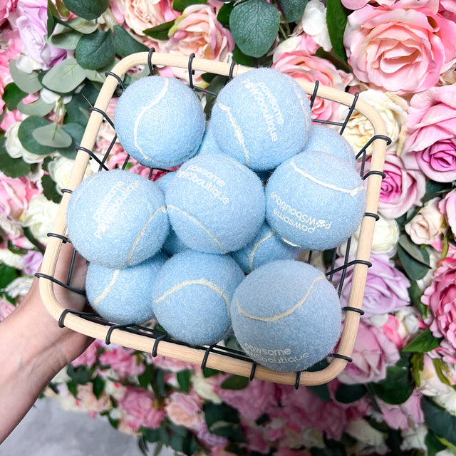PPB Tennis Ball - Blue