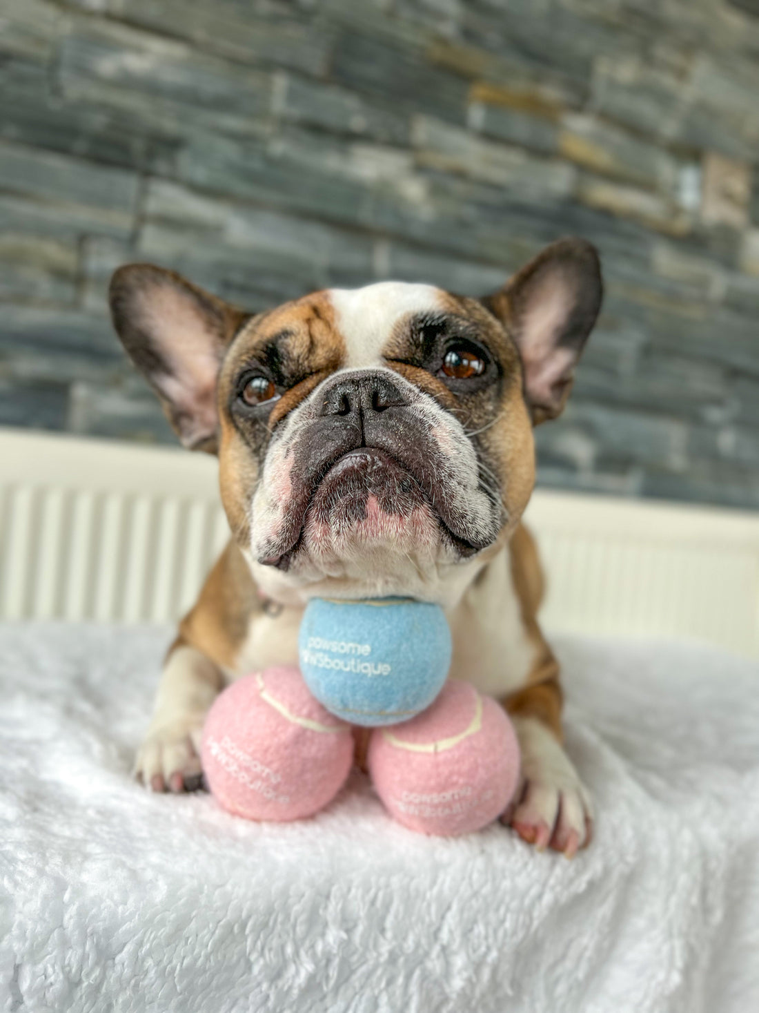 PPB Tennis Ball - Blue