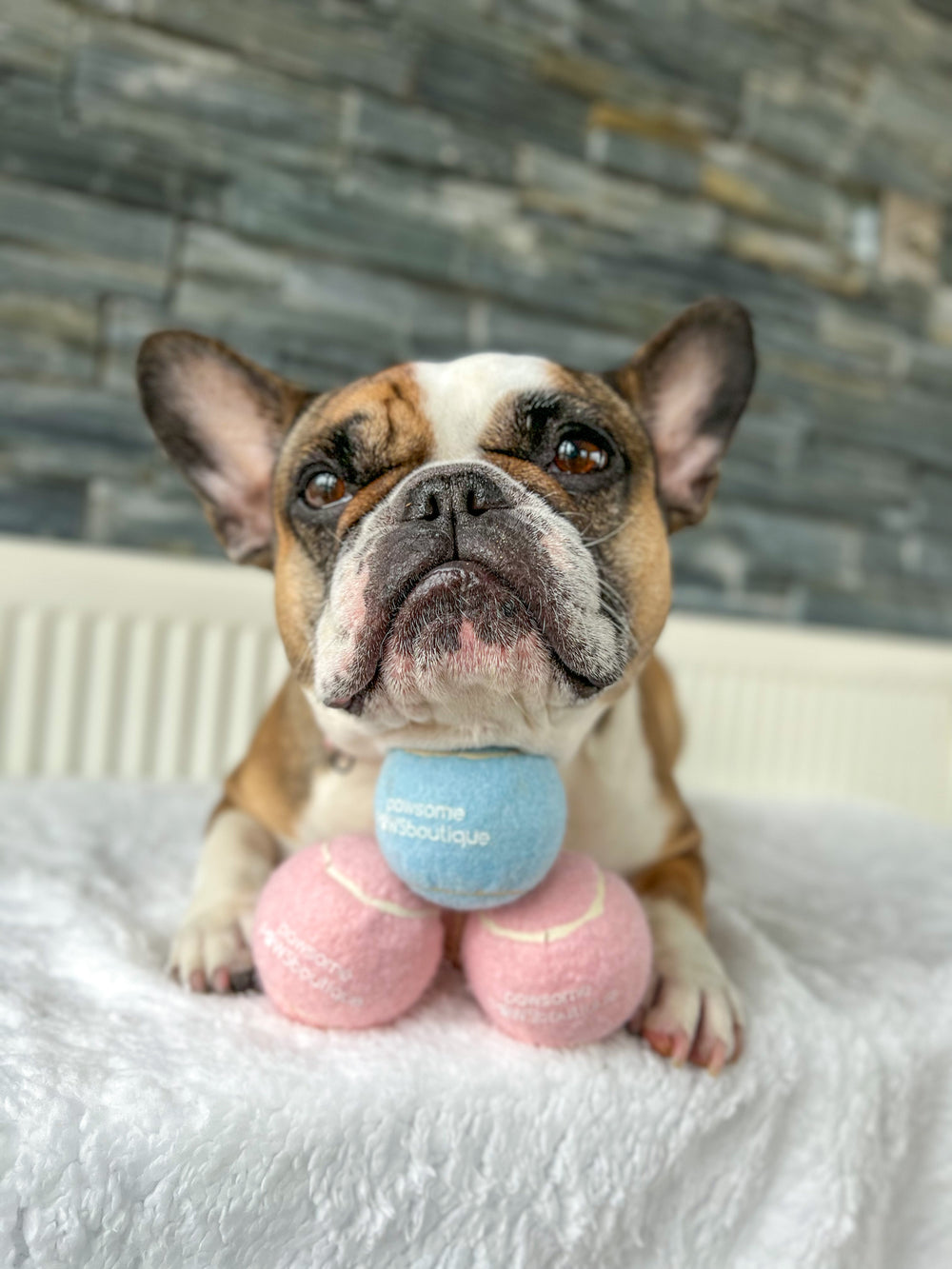 PPB Tennis Ball - Blue