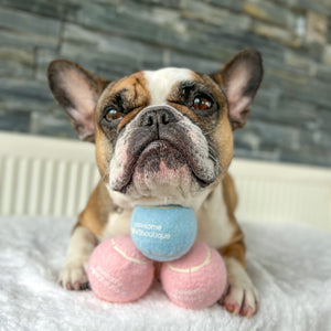 PPB Tennis Ball - Blue