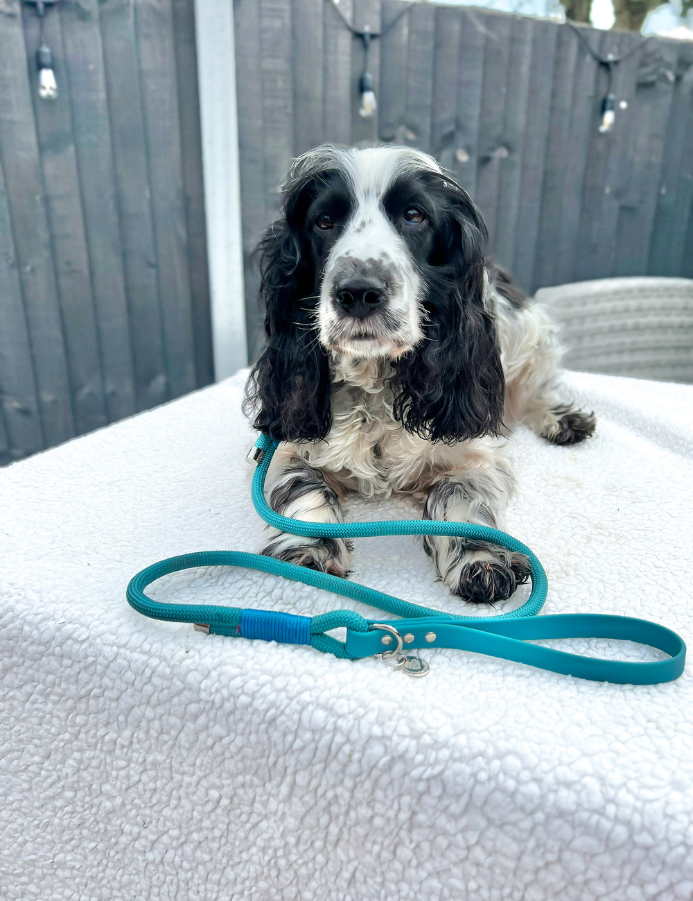 4ft Rope Lead - Teal