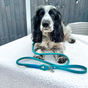4ft Rope Lead - Teal
