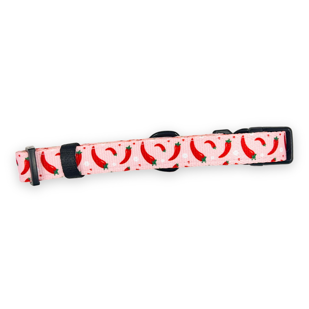 Collar - Chilli Dog