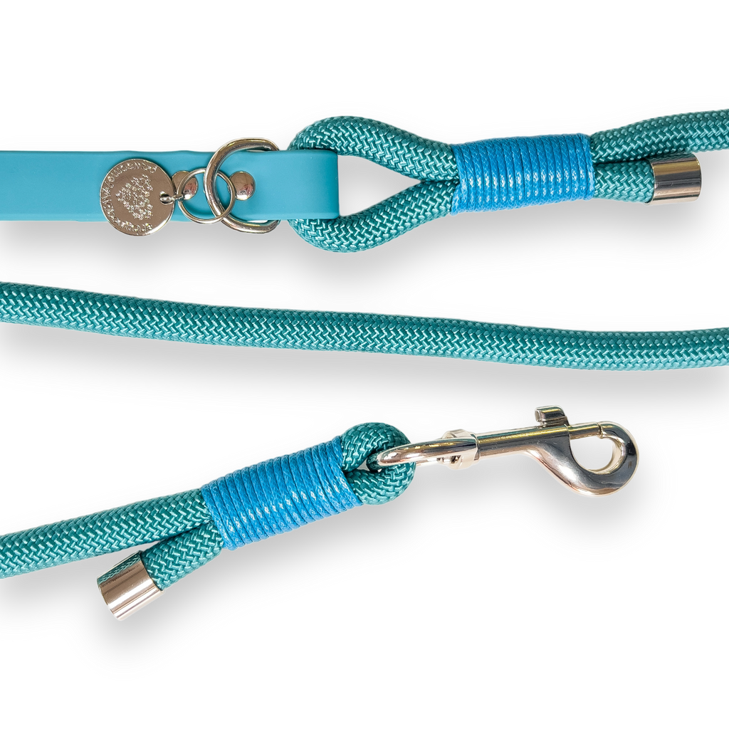 4ft Rope Lead Teal Pawsome Paws Boutique