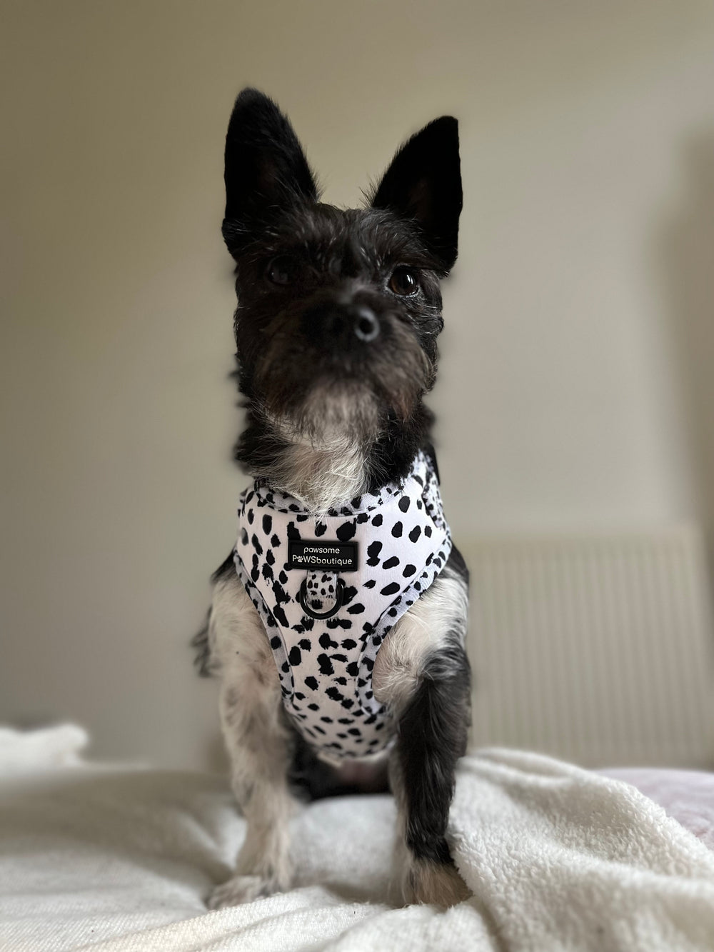 Adjustable Harness – Perdita