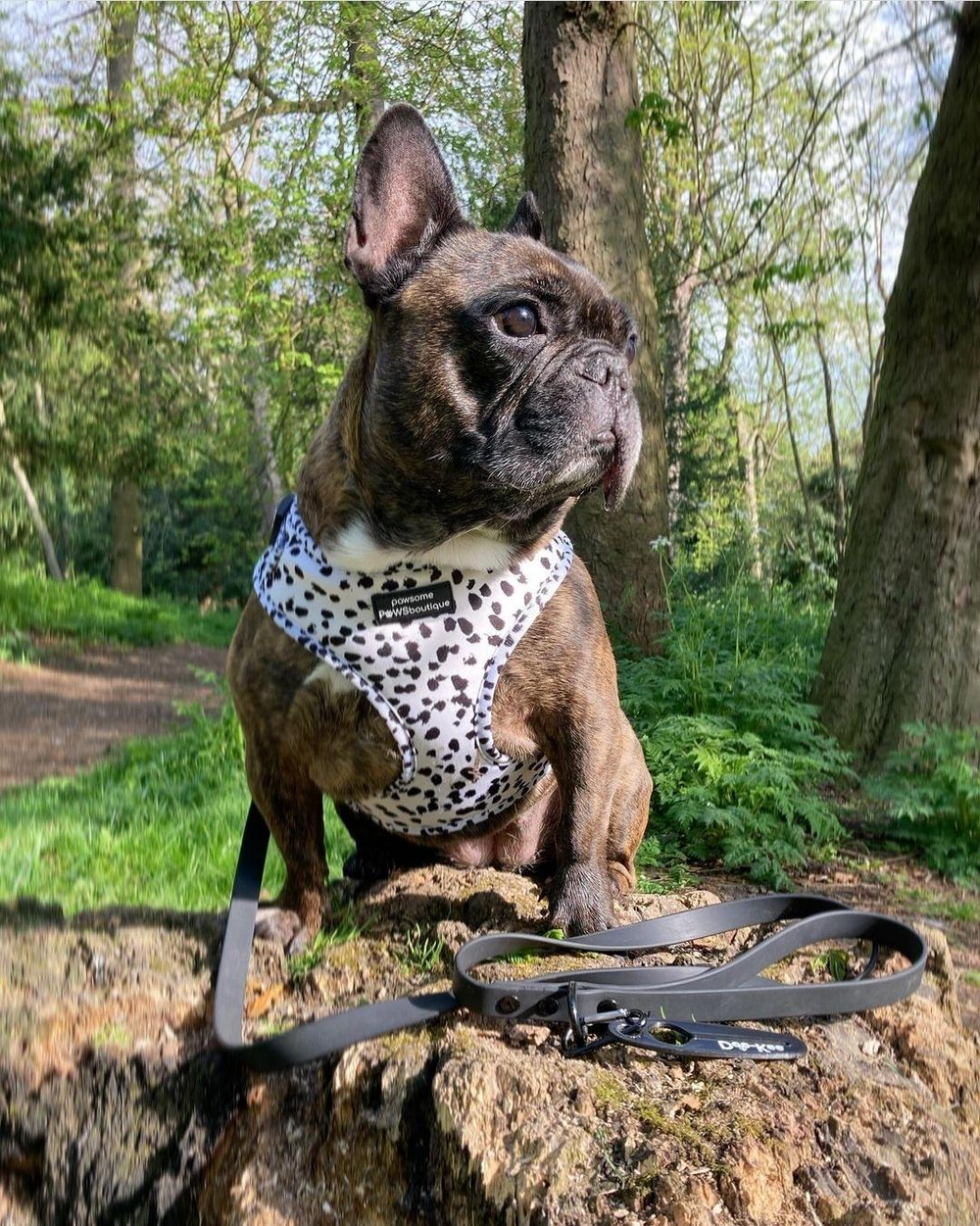 Adjustable Harness – Perdita