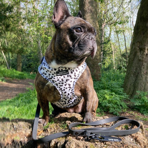 Adjustable Harness – Perdita