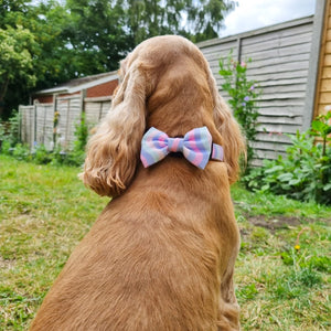 Bow Tie - PPB Pastel Swirl