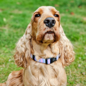Collar - PPB Pastel Swirl
