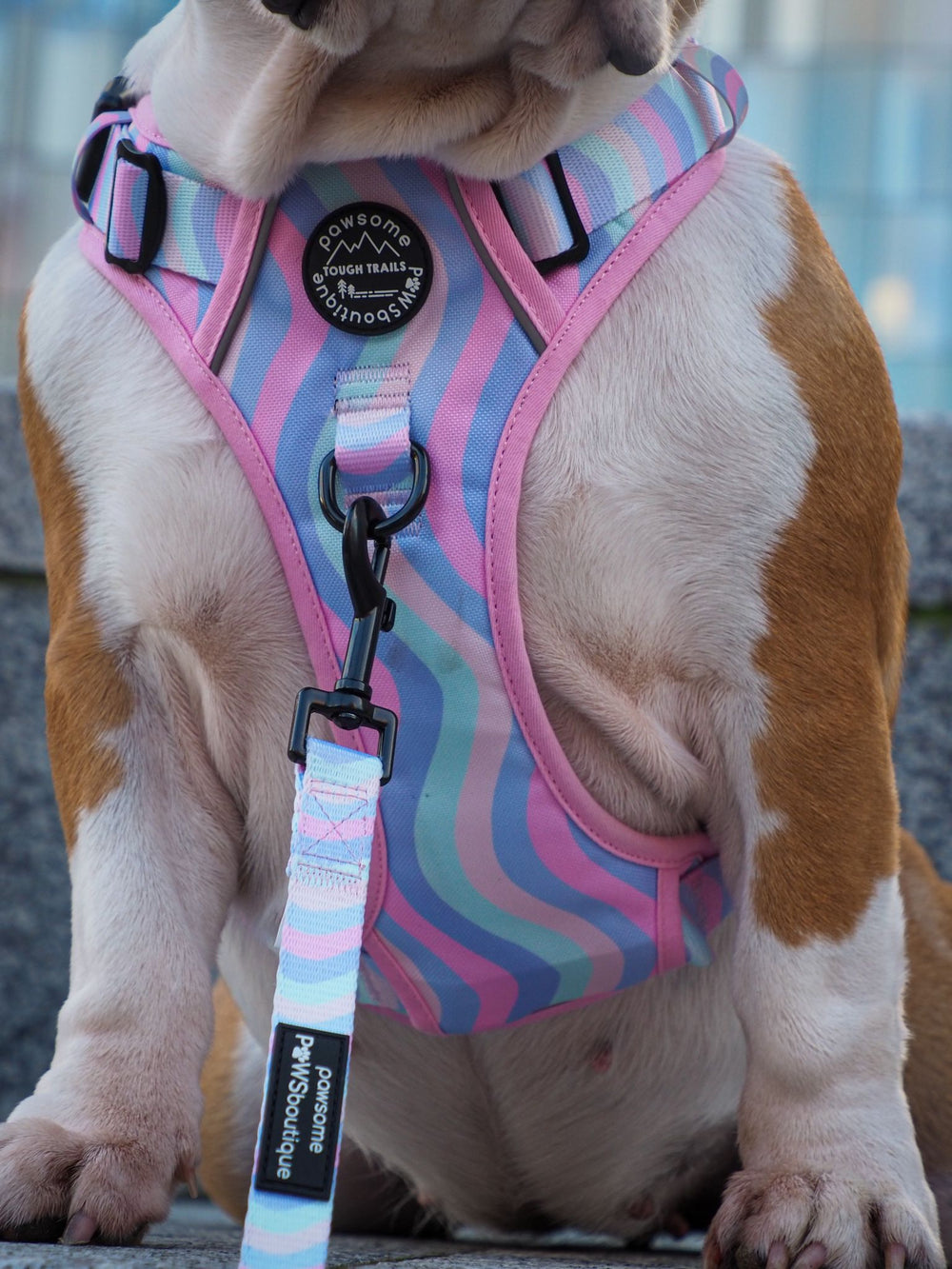 Lead - PPB Pastel Swirl