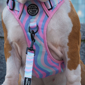 Lead - PPB Pastel Swirl