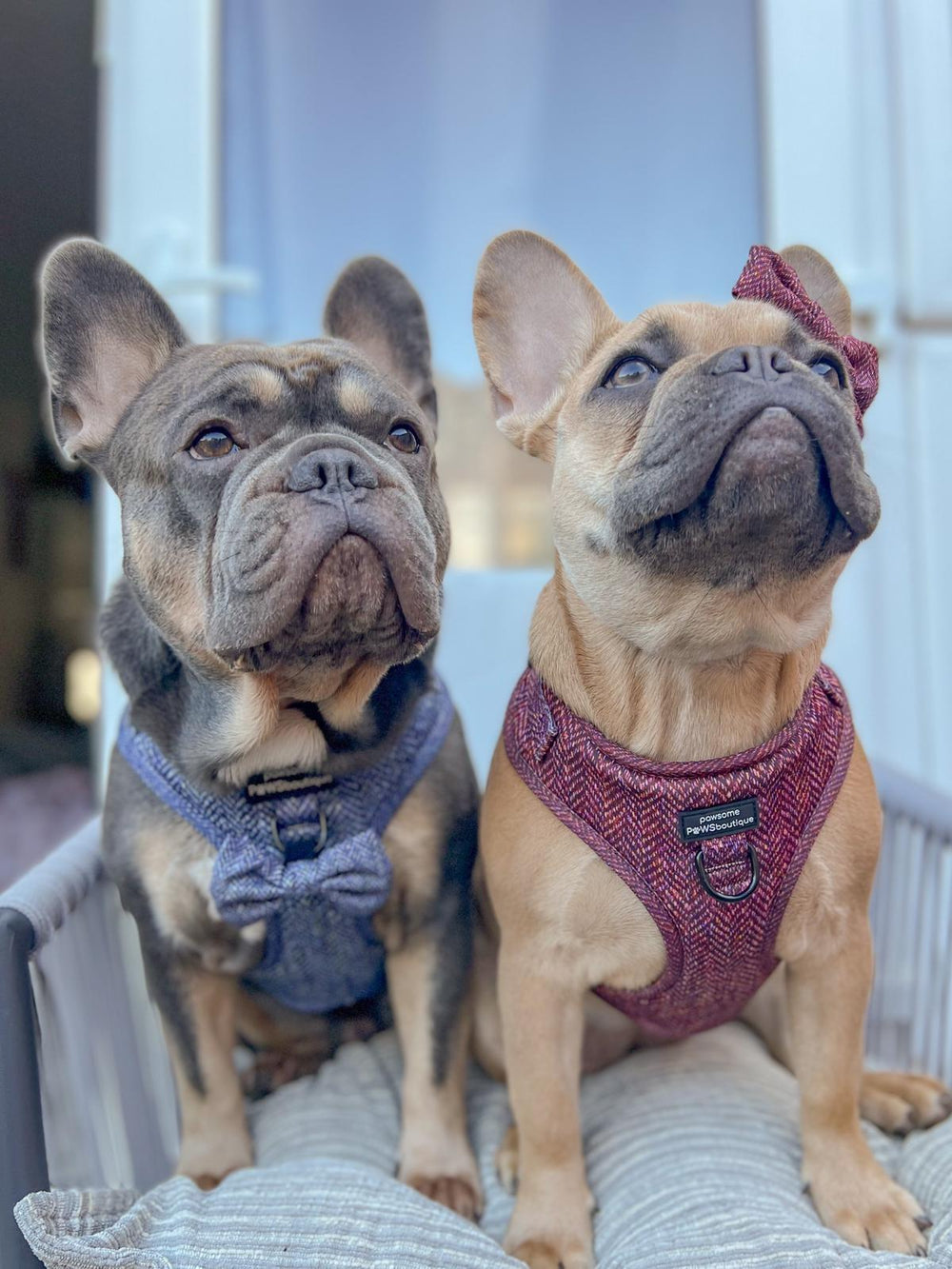 Bow Tie - Country Burgundy