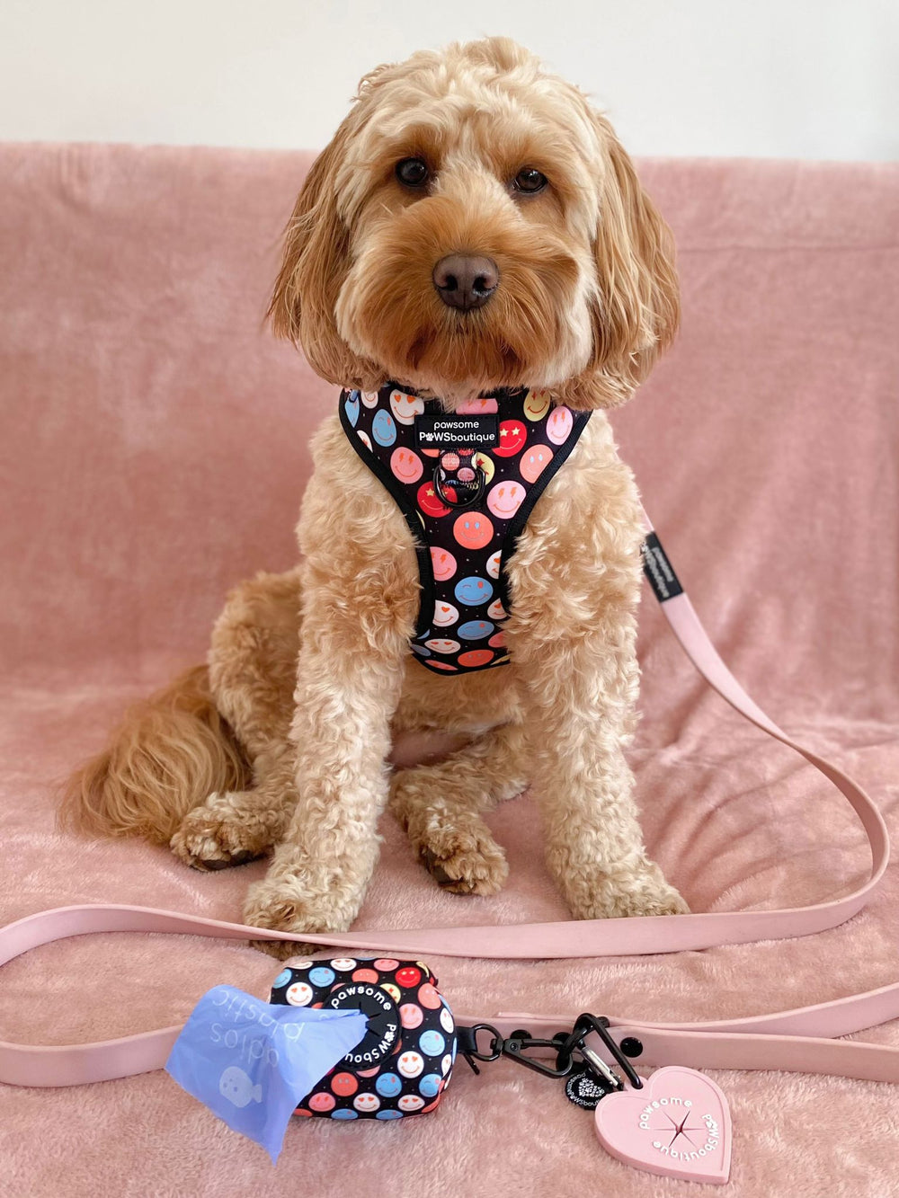 Adjustable Harness – Be Happy - Charity Collection