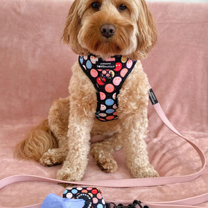 Adjustable Harness – Be Happy - Charity Collection