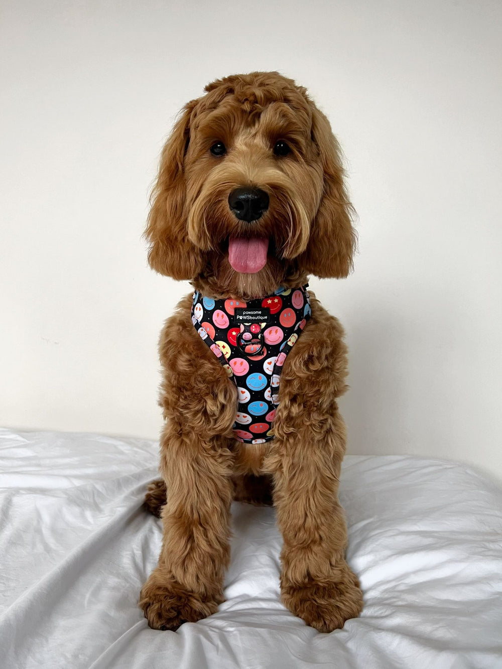 Adjustable Harness – Be Happy - Charity Collection