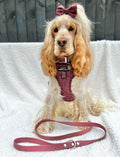 Bow Tie - Country Burgundy