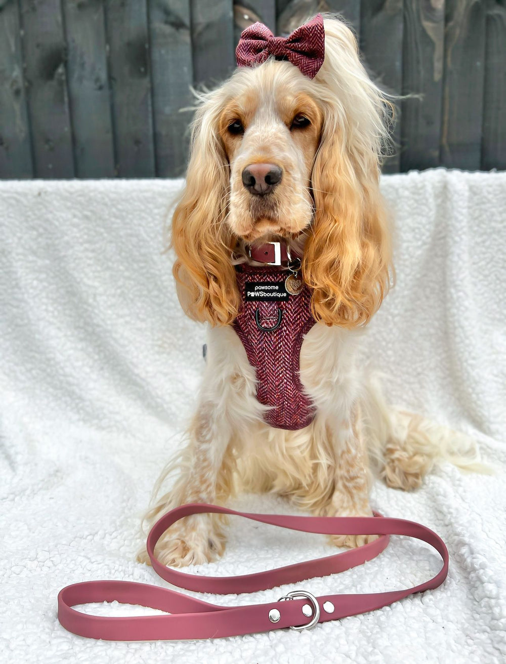 Bow Tie - Country Burgundy