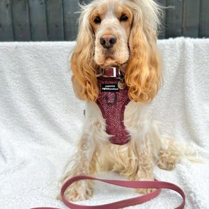 Bow Tie - Country Burgundy