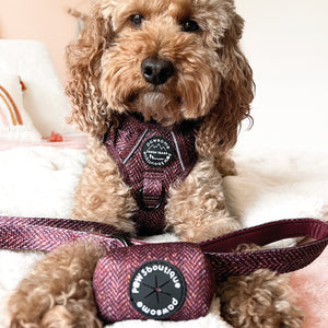 Poo Bag Holder - Country Burgundy