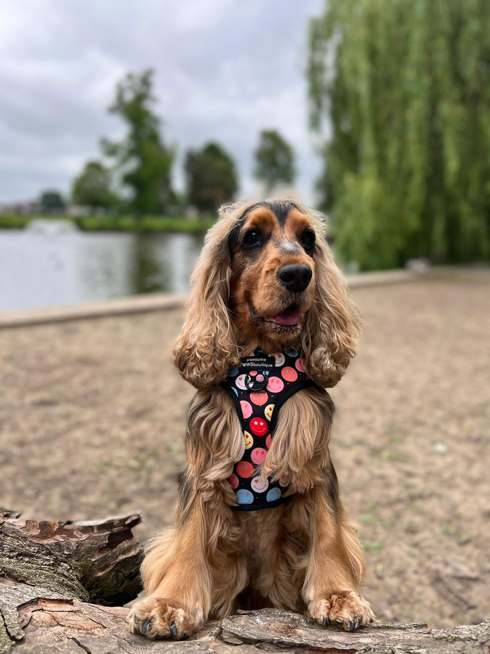 Adjustable Harness – Be Happy - Charity Collection