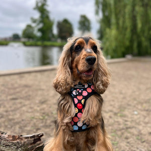 Adjustable Harness – Be Happy - Charity Collection