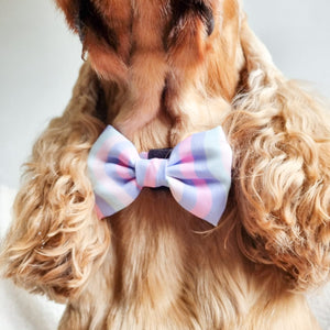 Bow Tie - PPB Pastel Swirl