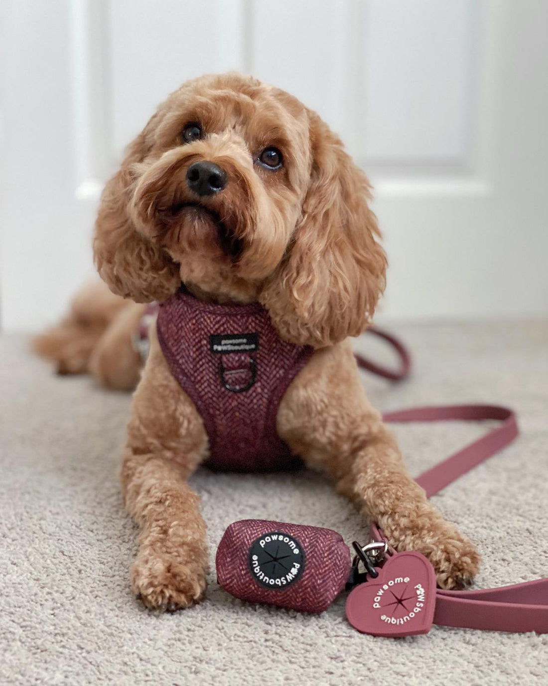 Poo Bag Holder - Country Burgundy