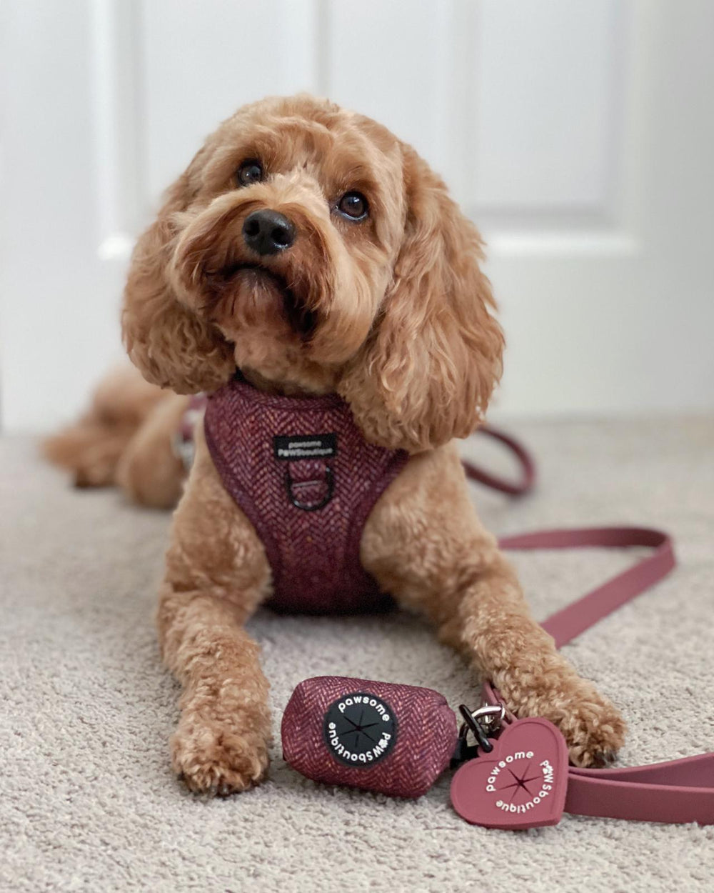 Poo Bag Holder - Country Burgundy