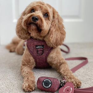 Poo Bag Holder - Country Burgundy