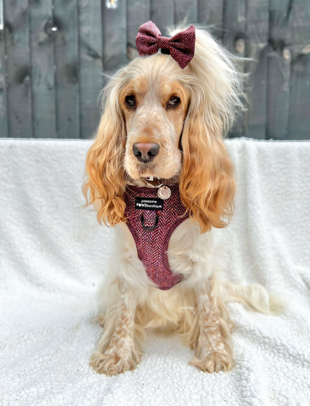 Bow Tie - Country Burgundy