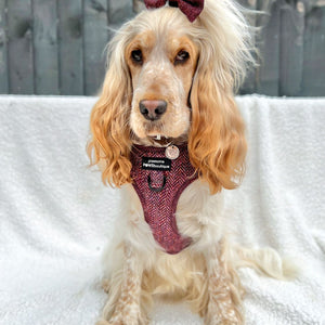 Bow Tie - Country Burgundy